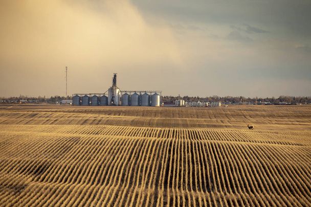 елеватори - 3174 новини елеватори - 64459 новини