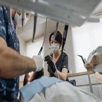 паднал преден зъб - 84277 оферти паднал преден зъб - 96329 оферти